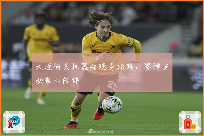 大连街头机器狗现身指路，赛博互动暖心陪伴